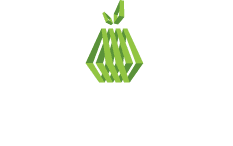 Primofruta, premier exportateur de poire Rocha