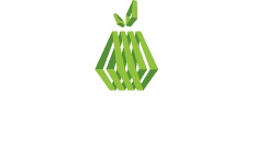 Primofruta, Leading exporter of Rocha Pear